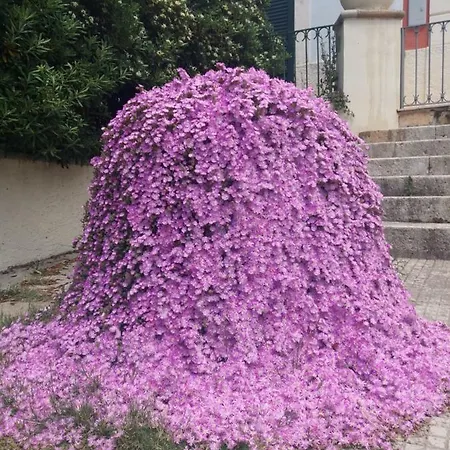 Il Podio Del Salento *